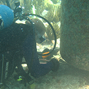 person under water with scuba gear
